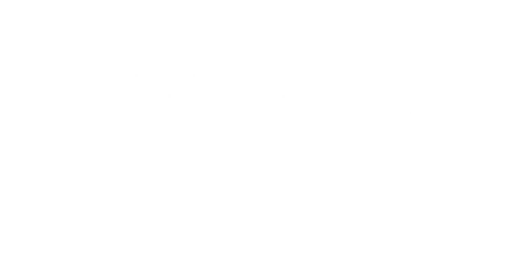 Delfina The designer logo